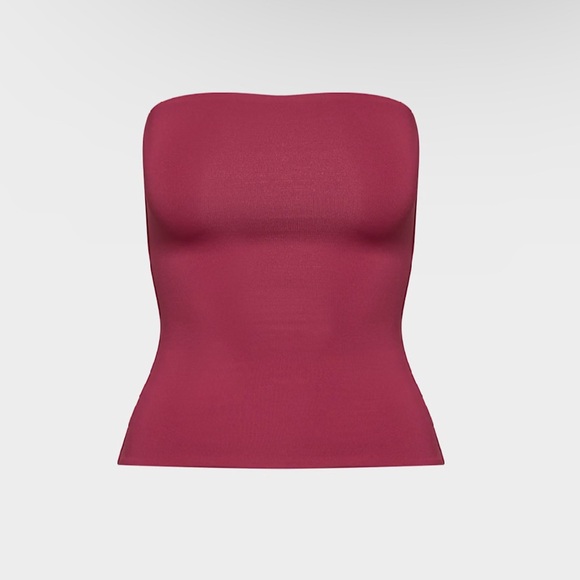 Aritzia Tops - ARTIZIA contour tube top